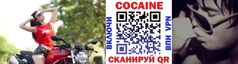 купить   Новохопёрск  Cocaine Fish Scale 