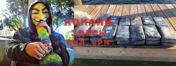 хмурый Верея