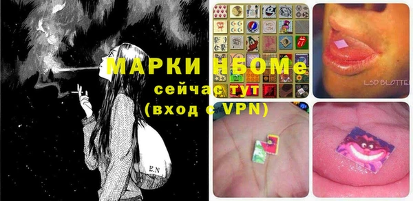 хмурый Верея