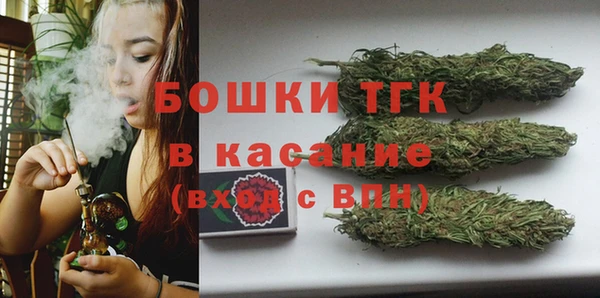 хмурый Верея