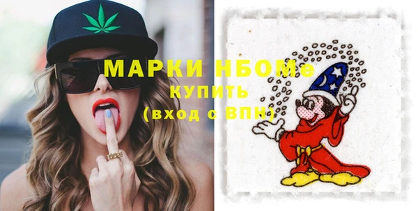 хмурый Верея